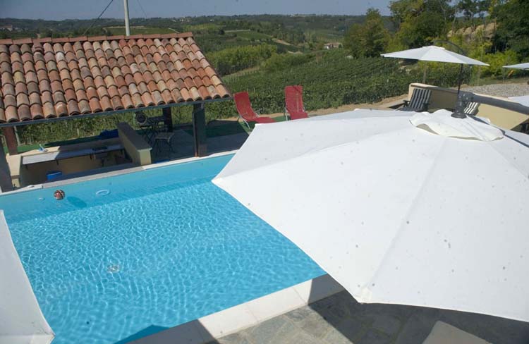 eco-pool overlooking vineyards